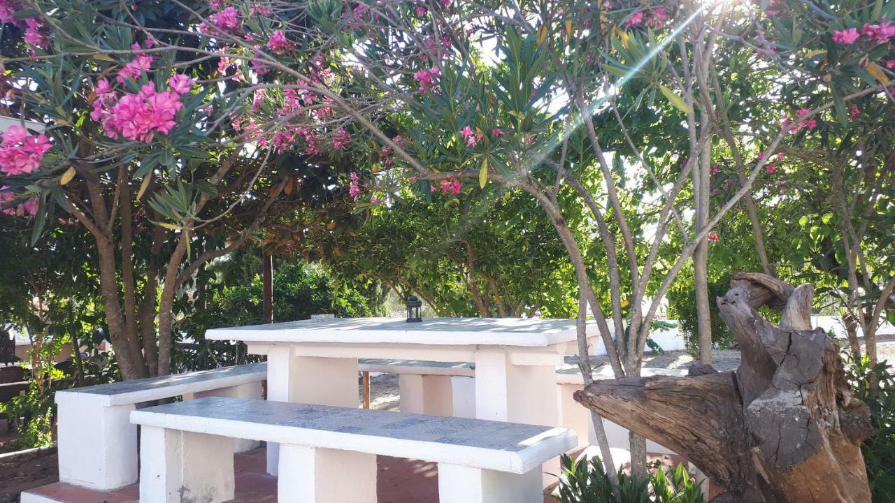 Palacete Dos Alcaides Minas de São Domingos Exterior foto